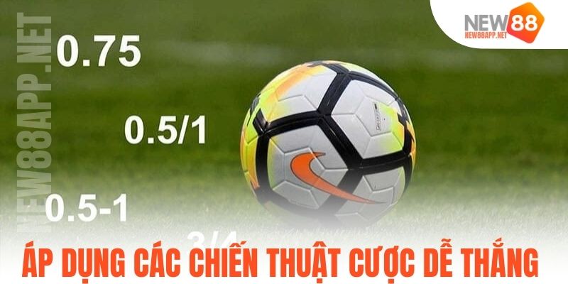 Áp dụng các chiến thuật cược dễ thắng