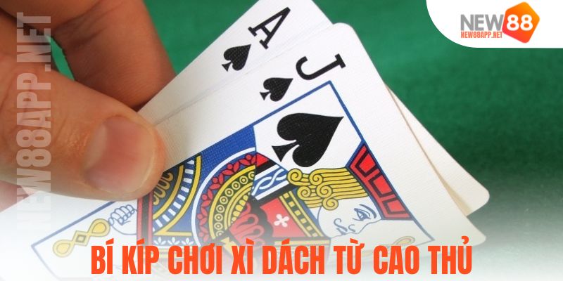 Bí kíp chơi xì dách từ cao thủ
