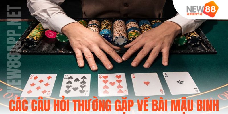 câu hỏi thường gặp
