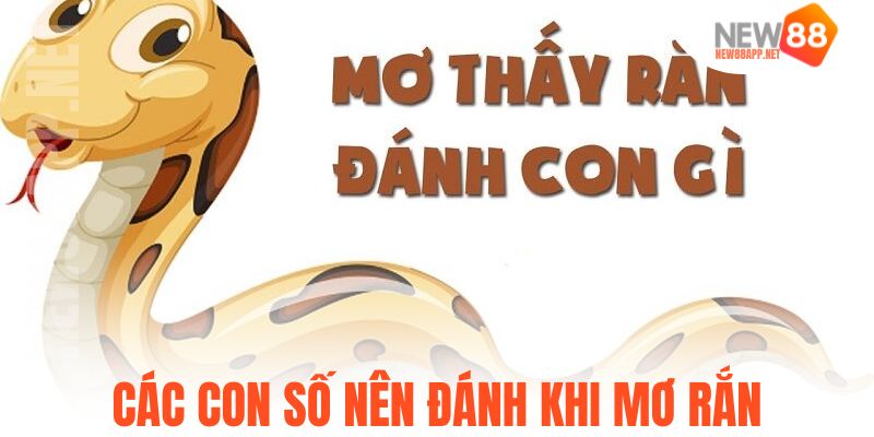 Các con số nên đánh khi mơ rắn
