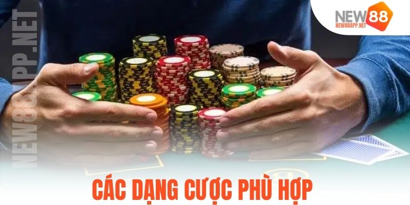 Các dạng cược phù hợp