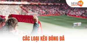 các loại kèo bóng đá