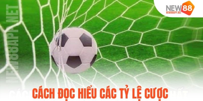 Cách đọc hiểu các tỷ lệ cược