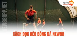 cách đọc kèo bóng đá