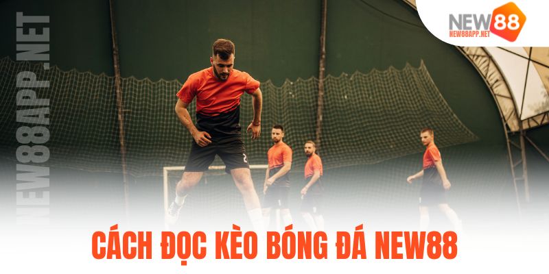 cách đọc kèo bóng đá