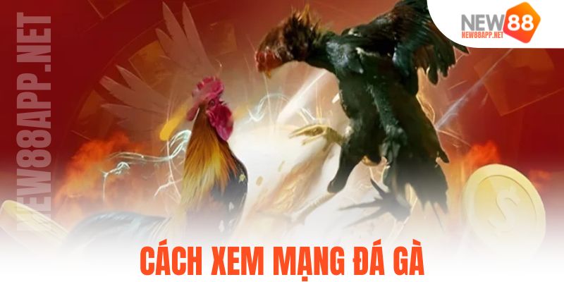 Cách xem mạng đá gà