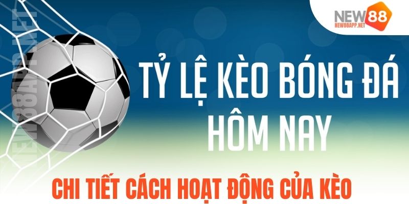Chi tiết cách hoạt động của kèo