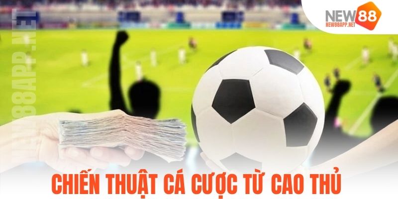 Chiến thuật cá cược từ cao thủ