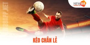 kèo chẵn lẻ