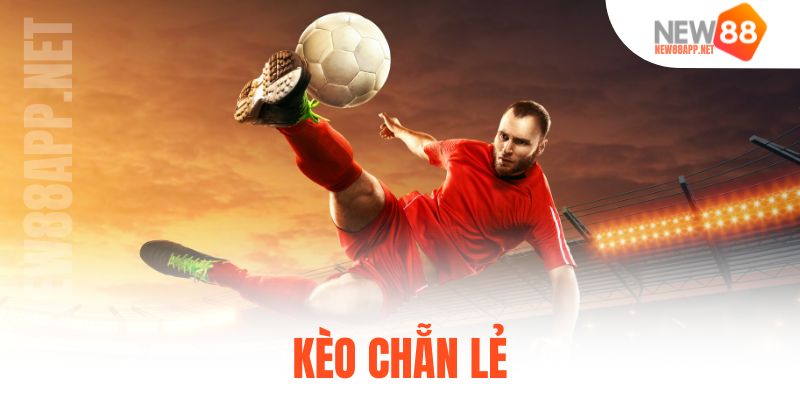 kèo chẵn lẻ
