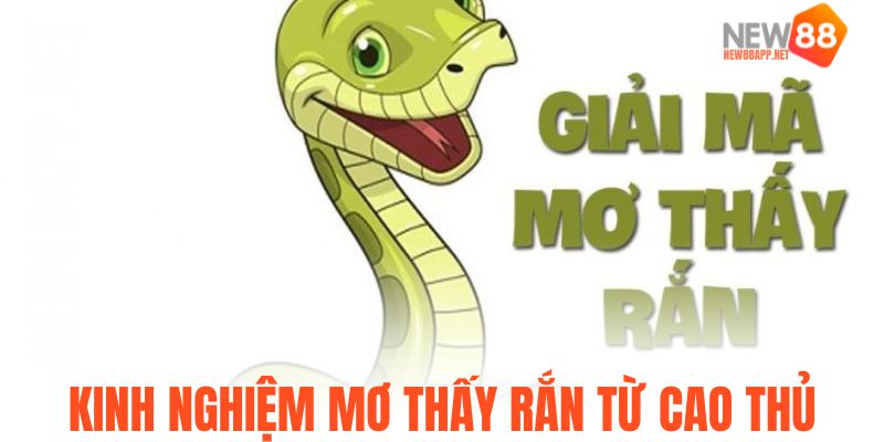 Kinh nghiệm mơ thấy rắn từ cao thủ
