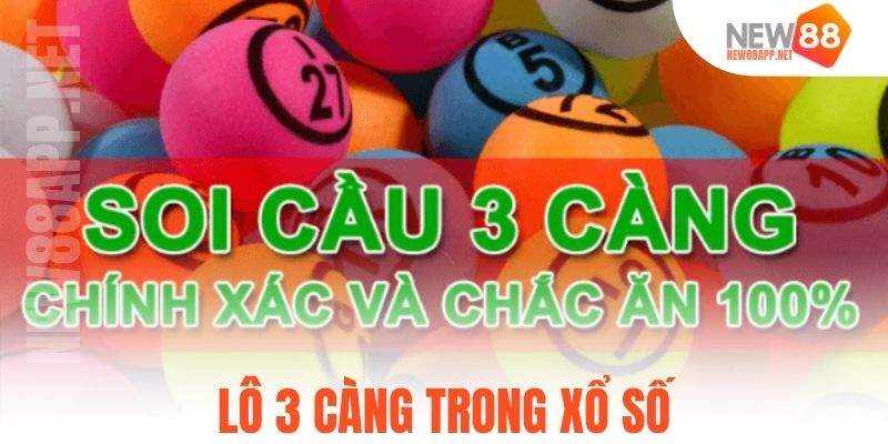 Lô 3 càng trong xổ số