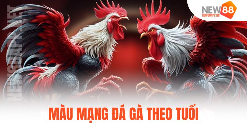 Màu mạng đá gà theo tuổi