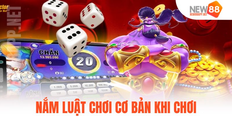Nắm luật chơi cơ bản khi chơi