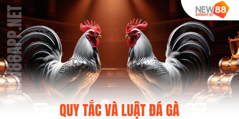 Quy tắc và luật đá gà