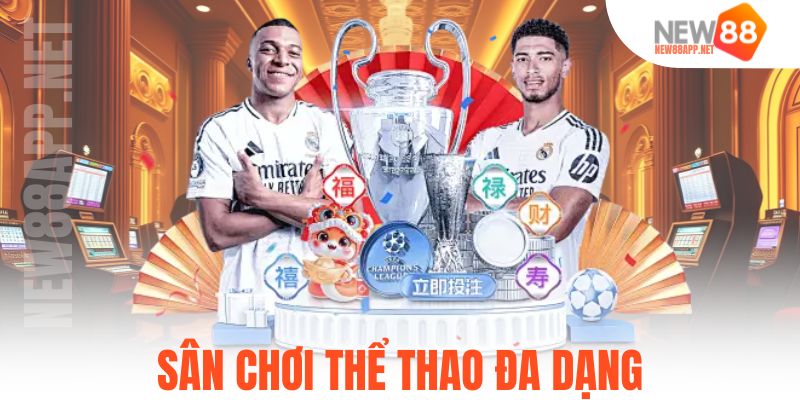 Sân chơi thể thao đa dạng