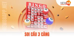 Soi Cầu 3 Càng