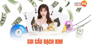 Soi Cầu Bạch Kim