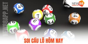 Soi Cầu Lô