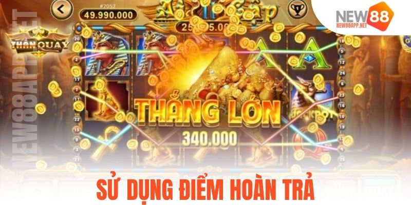 Sử dụng điểm hoàn trả