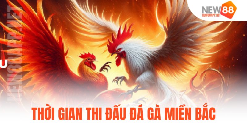 Thời gian thi đấu đá gà miền bắc