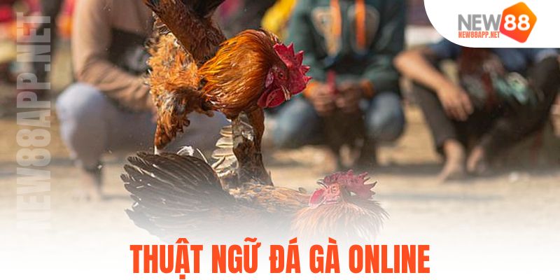 Thuật ngữ đá gà online