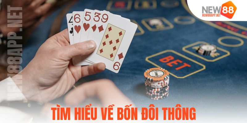 Tìm hiểu về bốn đôi thông