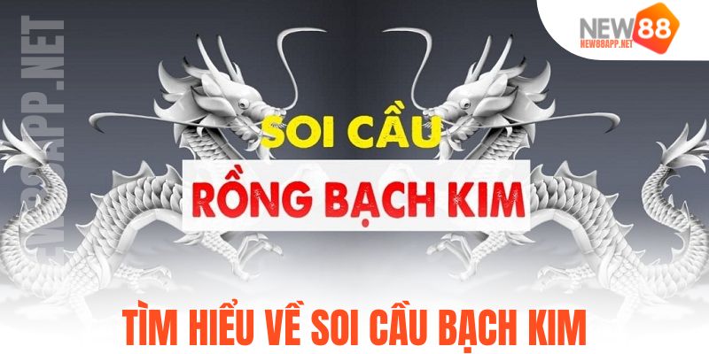 Tìm hiểu về soi cầu bạch kim