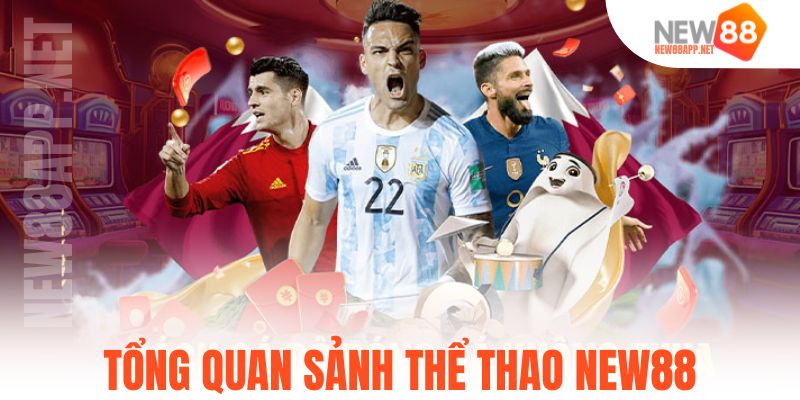 Tổng quan sảnh thể thao New88
