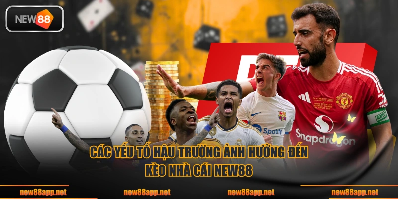 Các yếu tố hậu trường ảnh hưởng đến kèo nhà cái NEW88 
