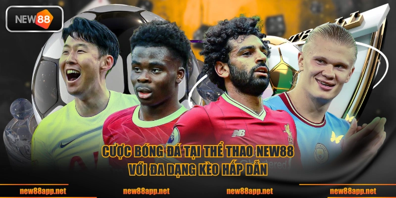 Cược bóng đá tại thể thao NEW88 với đa dạng kèo hấp dẫn