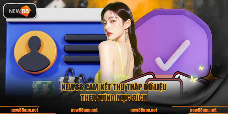 NEW88 cam kết thu thập dữ liệu theo đúng mục đích