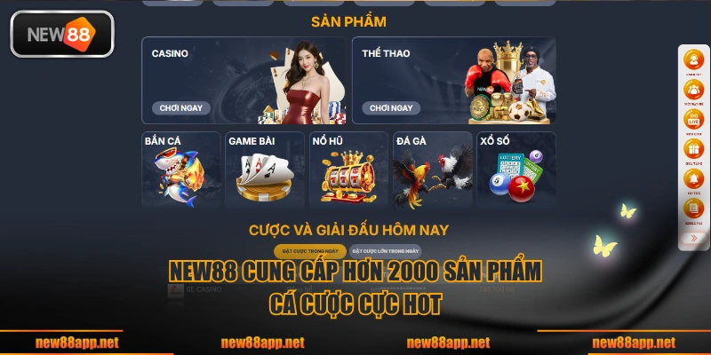 NEW88 cung cấp hơn 2000 sản phẩm cá cược cực hot