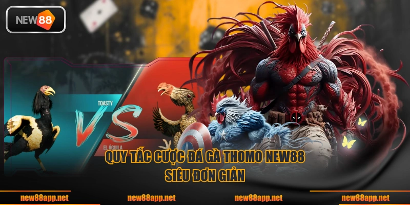 Quy tắc cược đá gà Thomo NEW88 siêu đơn giản