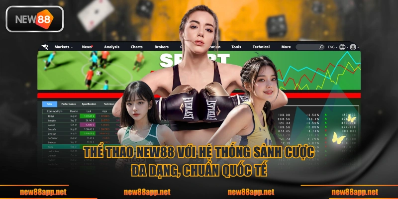Thể thao NEW88 với hệ thống sảnh cược đa dạng, chuẩn quốc tế