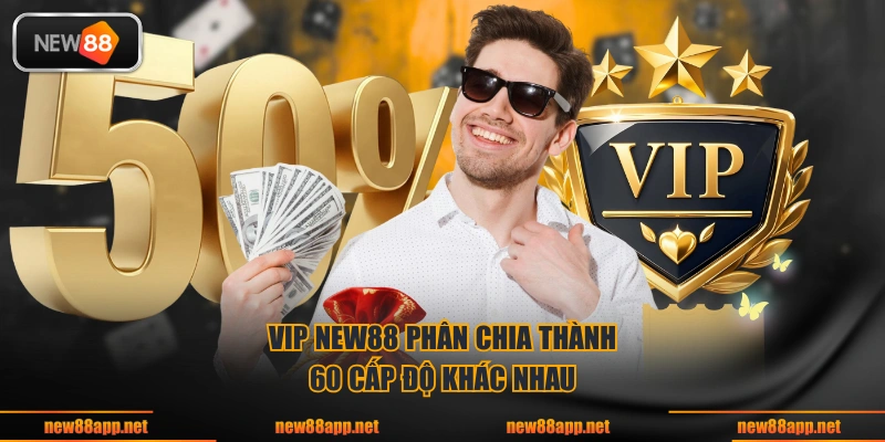 VIP NEW88 phân chia thành 60 cấp độ khác nhau